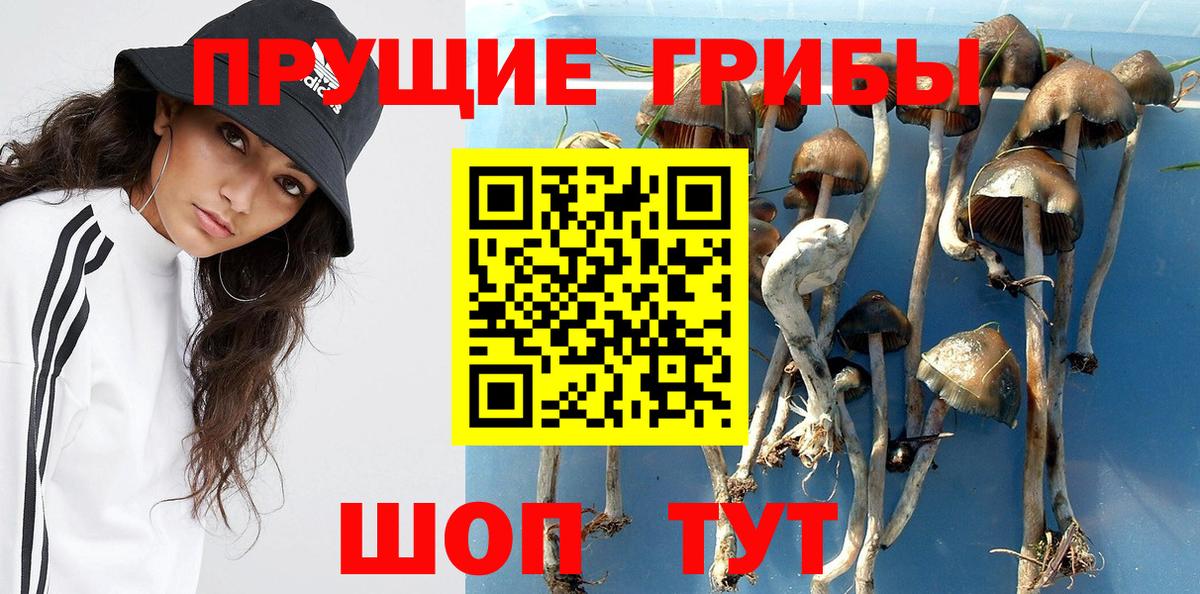 Галлюциногенные грибы прущие грибы  Псилоцибиновые грибы прущие грибы  Новочебоксарск  Вход с VPN 